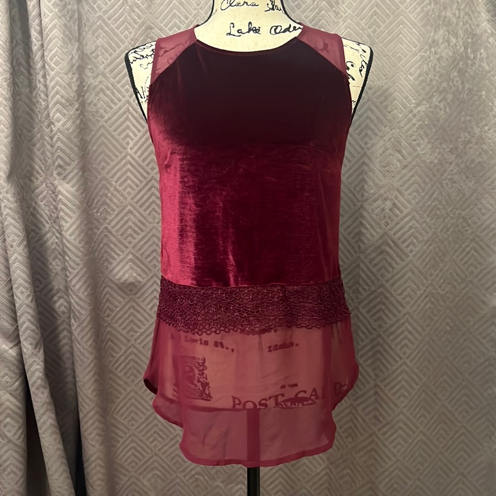 Artisan Purple Velour Top